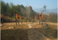 桐庐基地
